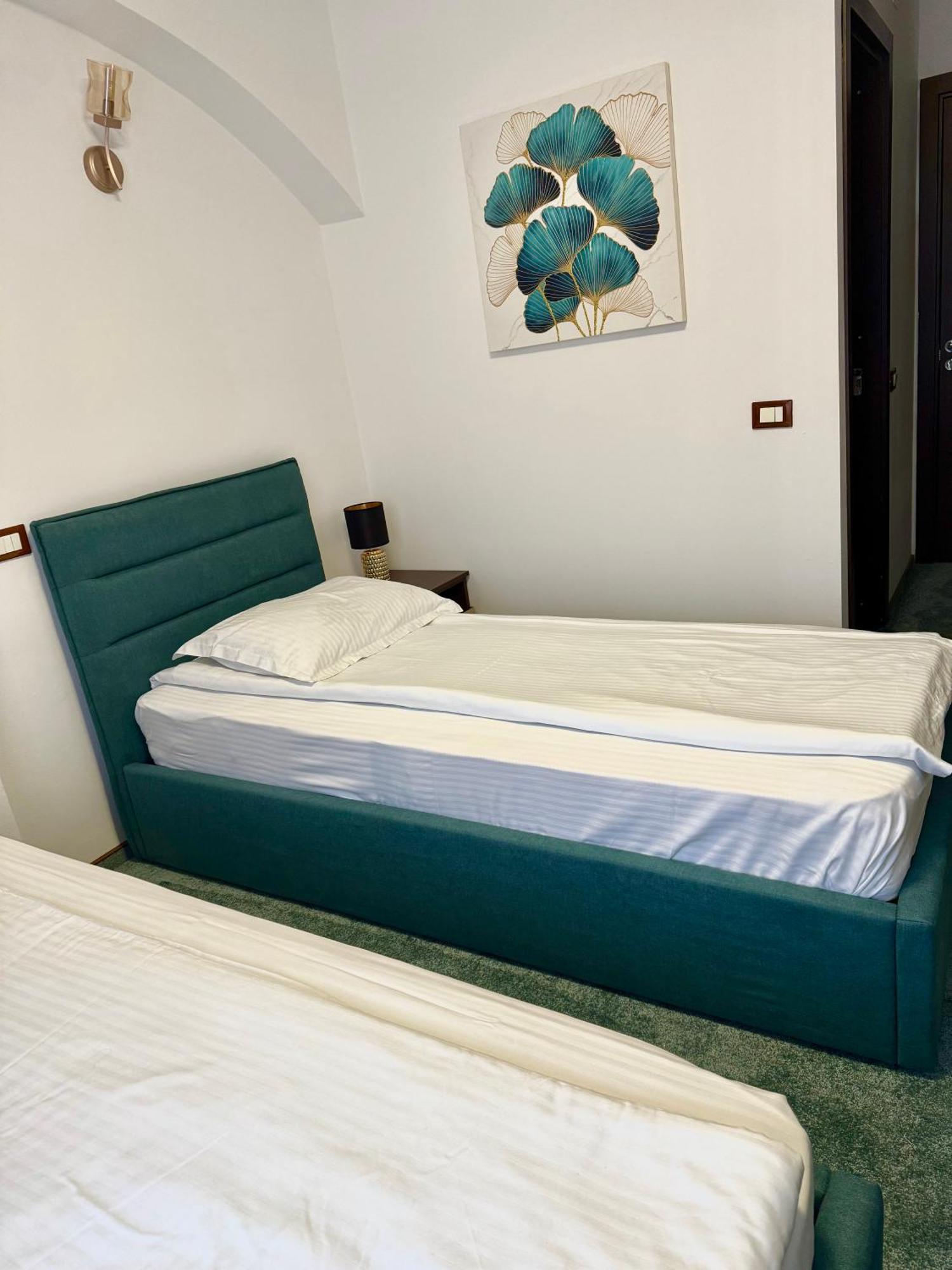 Hotel Palace Тыргу-Жиу Экстерьер фото
